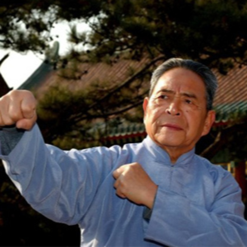 Obrázek epizody Mistr Feng Zhiqiang - O umění Tchaj-ťi čchüan