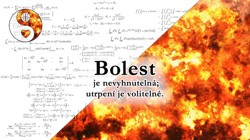 Obrázek epizody Bolest je nevyhnutelná; utrpení volitelné.
