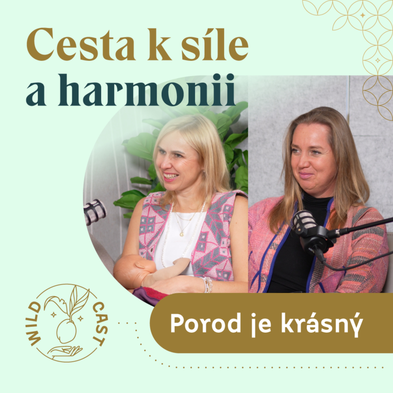 Obrázek epizody Jak na přirozený porod bez traumat ?