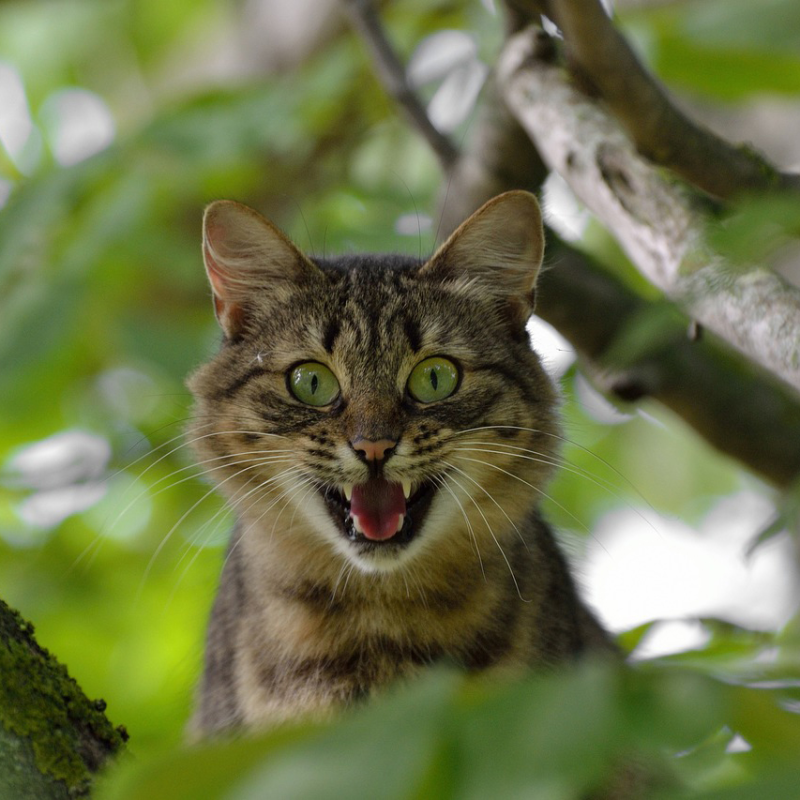 Obrázek epizody "NE"PŘÍJEMNÁ PRAVDA, KTEROU BYS MĚL/A SLYŠET