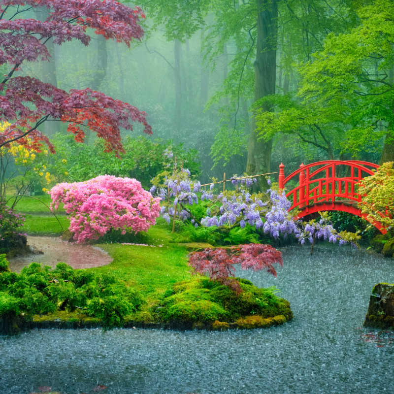 Obrázek epizody Spring Rain Showers in the Garden | Rain & Garden Sounds