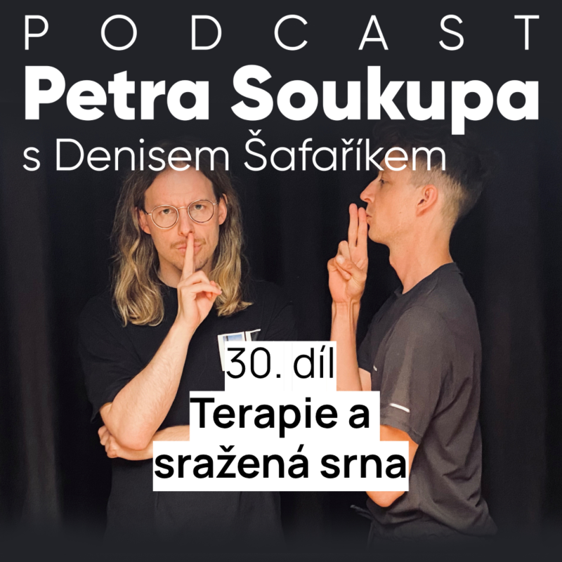 Obrázek epizody 30. díl - Terapie a sražená srna