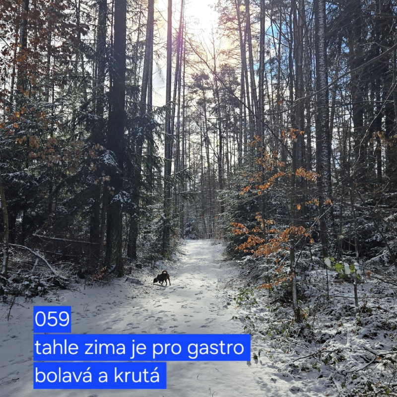 Obrázek epizody 059 tahle zima je pro gastro bolavá a krutá