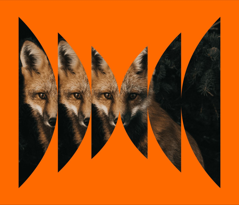 Obrázek epizody New Normal