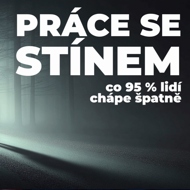 Obrázek epizody Jungova práce se stínem – co 95 % lidí chápe špatně