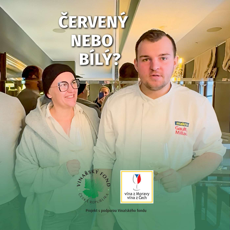 Obrázek epizody 039: Zdeněk Kroupa a Lukáš Jídlovec z Šupiny a Šupinky o kombinování vína s našimi rybami a vyhlášených kapřích hranolcích