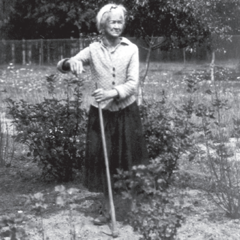 Obrázek epizody Týden s básnířkou: Anna Pammrová - ...Svátečně vzácný úkaz