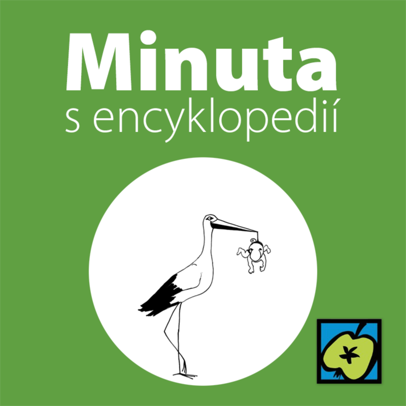 Obrázek epizody Čáp