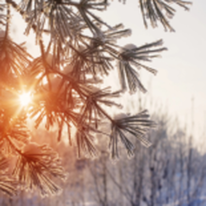 Obrázek epizody HOROSKOPY: Blíženci, v lásce vás čeká poměrně turbulentní období. Projeví se vaše touha po svobodě