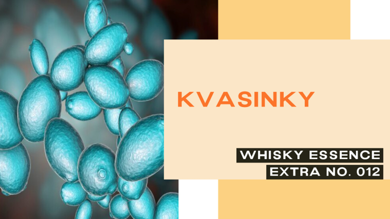 Obrázek epizody Extra 012 - Kvasinky