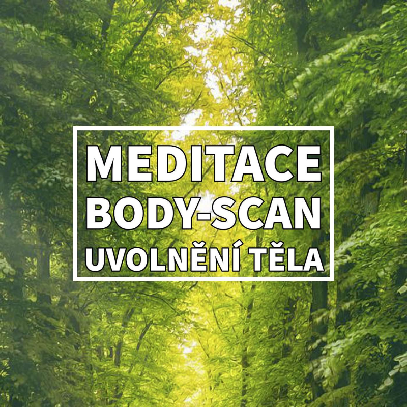 Obrázek epizody MEDITACE Body-scan: Praxe mindfulness pro úlevu od stresu a lepší spánek