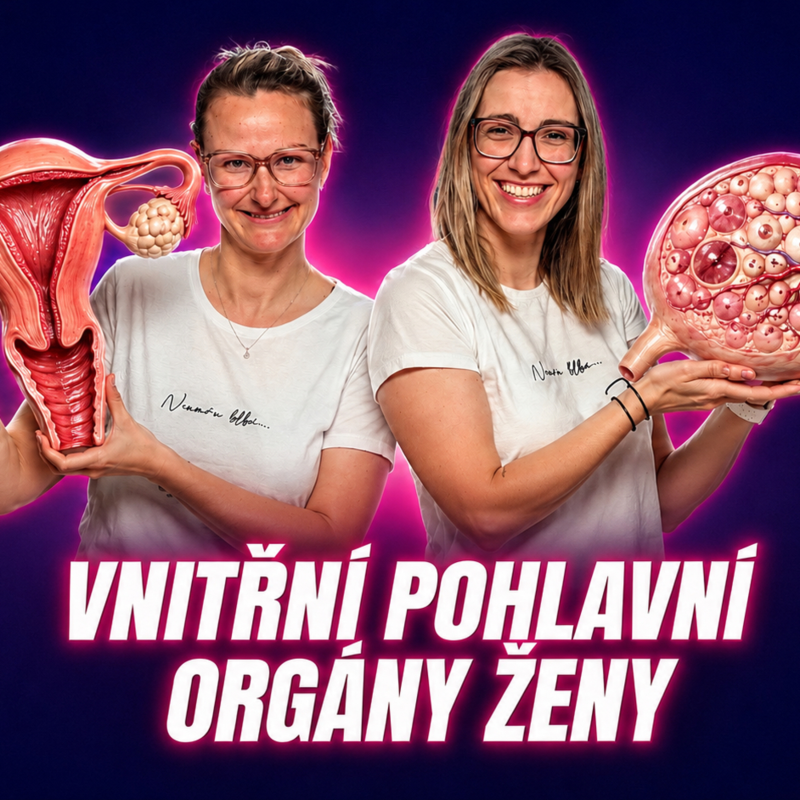Obrázek epizody Vnitřní pohlavní orgány ženy