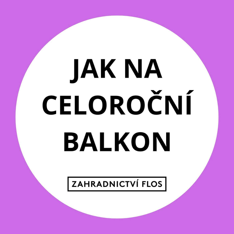 Obrázek epizody Jak z panelákového balkónu vytvořit zelený ráj