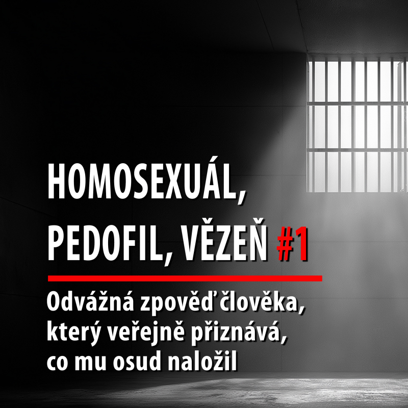 Obrázek epizody Motýl za katrem2: Odvážná zpověď latentního pedofila, která se sám udal policii