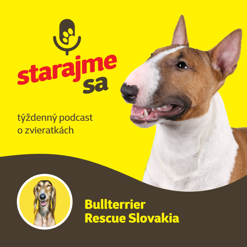 Obrázek epizody Psy: Bullterrier Rescue Slovakia