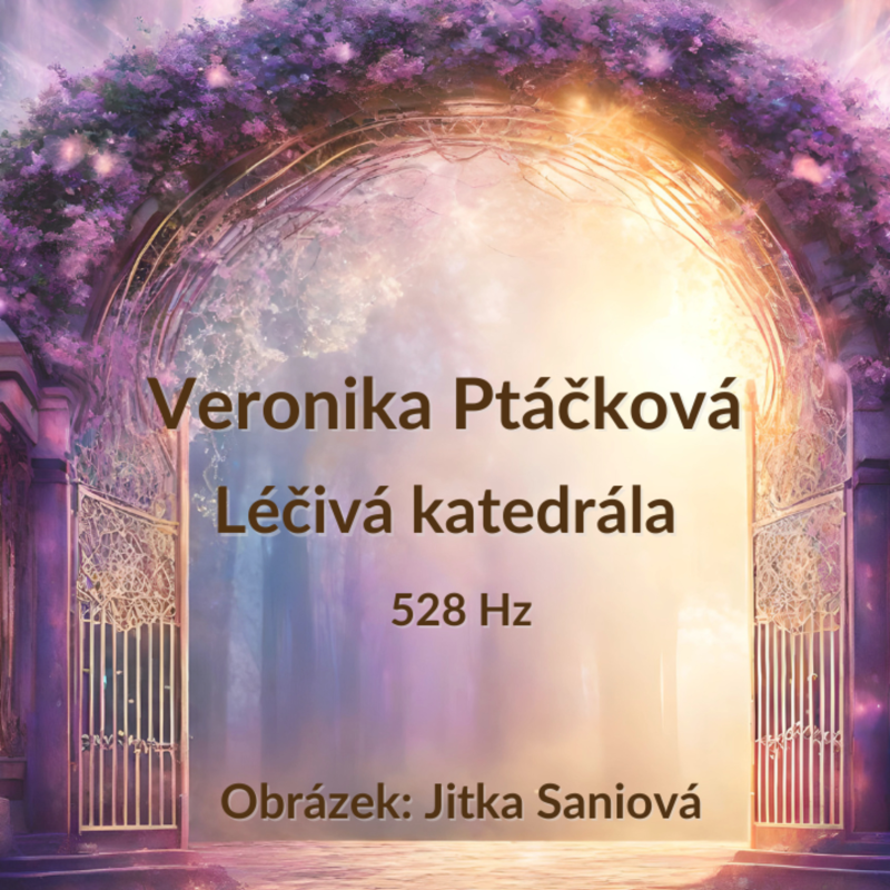 Obrázek epizody Veronika Ptáčková, Léčivá katedrála (528 Hz)