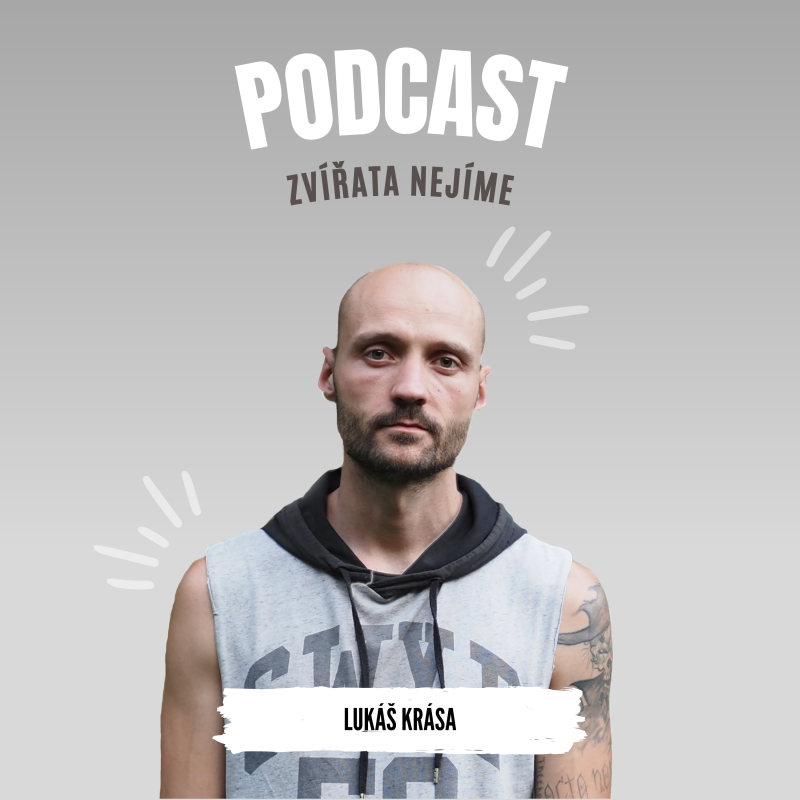 Obrázek epizody Lukáš Krása: Otevřené záchrany zvířat