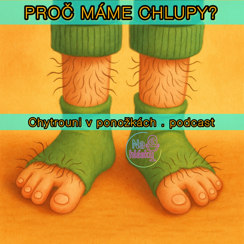 Obrázek epizody SPECIÁL PRO CHYTROUNY: PROČ MÁME CHLUPY?