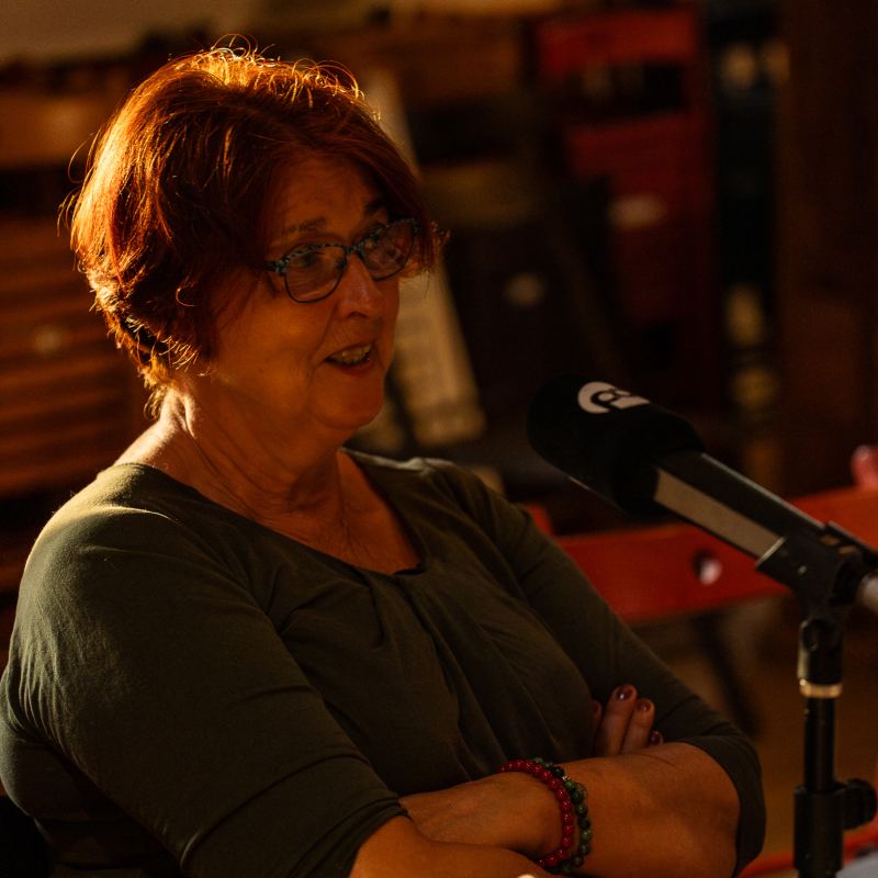 Obrázek epizody Léto na Kampě: V+W v rádiu