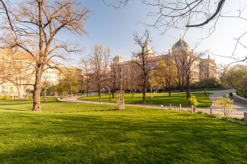 Obrázek epizody Lepší klima Čelakovského sadů