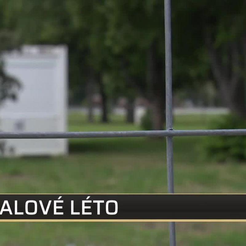 Obrázek epizody SHOWTIME 26.6.2020