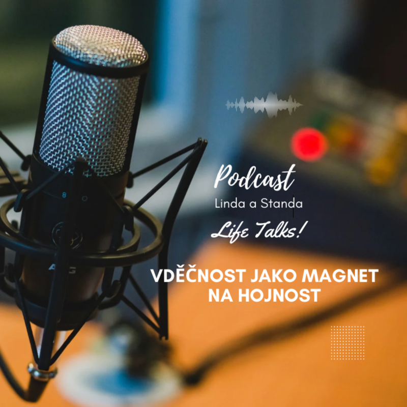 Obrázek epizody # 18 Vděčnost jako magnet na hojnost