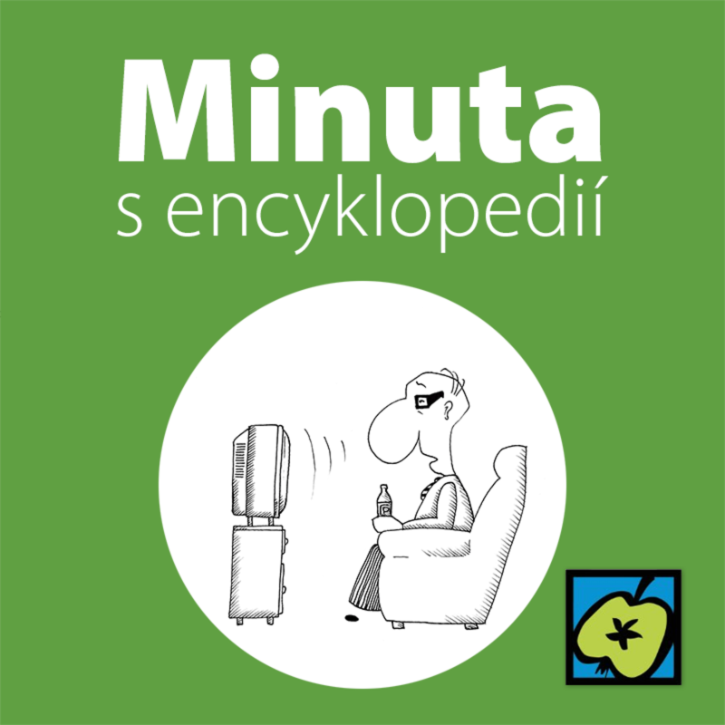 Obrázek epizody Volba miss