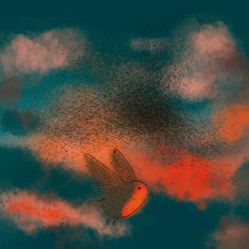 Obrázek epizody O Grétky ptačím tanci + relaxace v letu