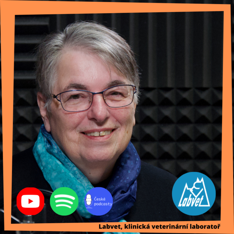 Obrázek epizody Paní Tichá vzpomíná a vypravuje