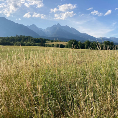 Obrázek epizody Seznámení