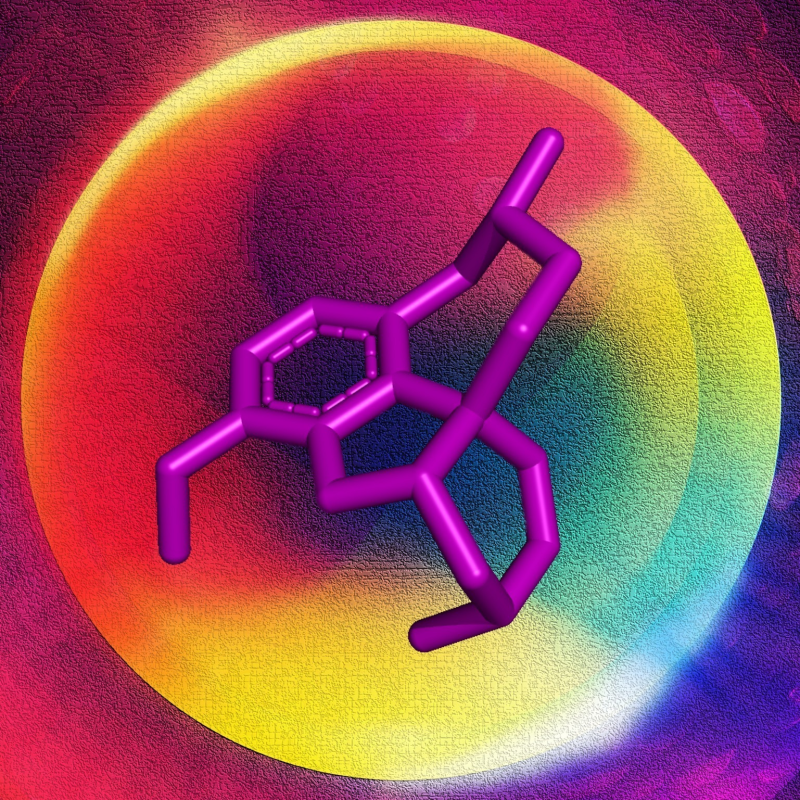 Obrázek epizody Co nám dala základní škola?