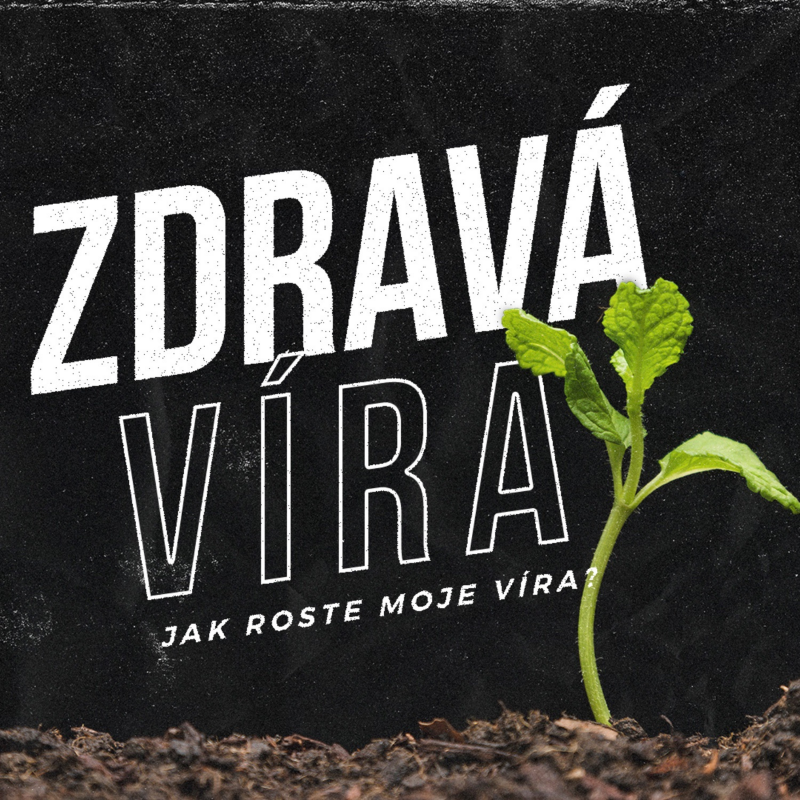 Obrázek epizody Zdravá víra - Tim Tomíček (18.4.2021)