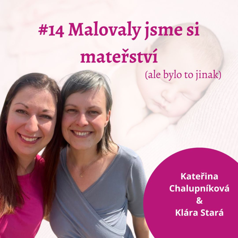 Obrázek epizody Malovaly jsme si mateřství (ale bylo to jinak)