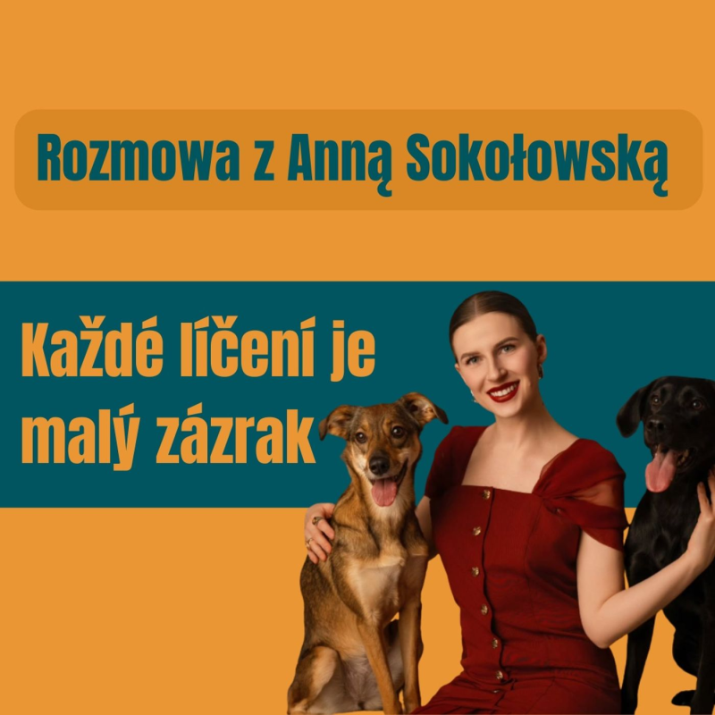 Obrázek epizody 186: Každé líčení je malý zázrak czyli rozmowa z Anną Sokołowską