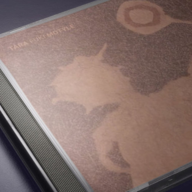 Obrázek epizody TARA FUKI - Motýle