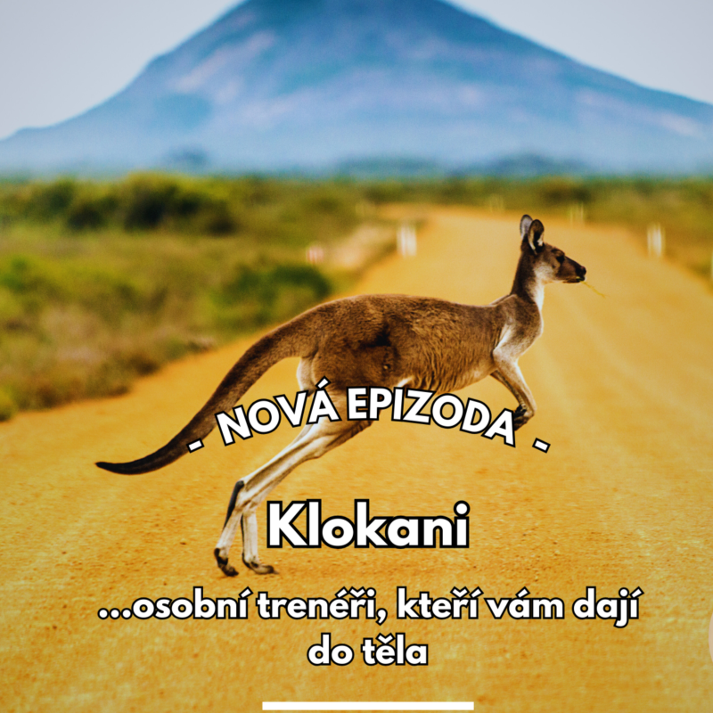 Obrázek epizody 17: Osobní trenér, který vám dá do těla