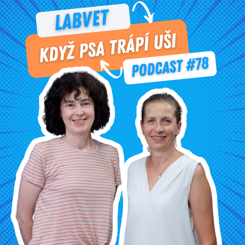 Obrázek epizody 👂Když PSA trápà UŠI👂| Labvet Podcast #78