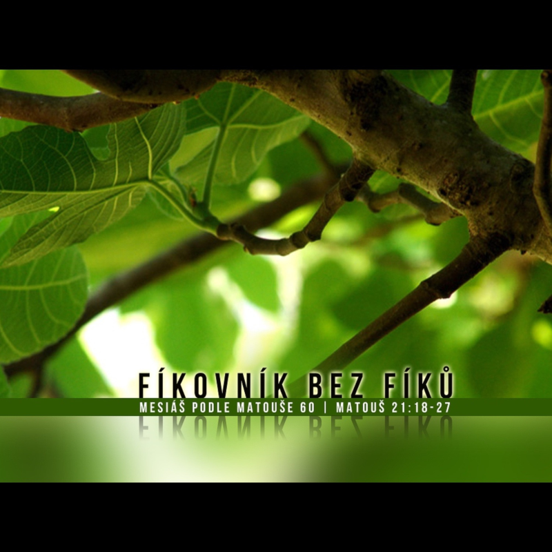 Obrázek epizody Mesiáš podle Matouše 60 - Fíkovník bez fíků - Bohuslav Wojnar (25.5.2014)