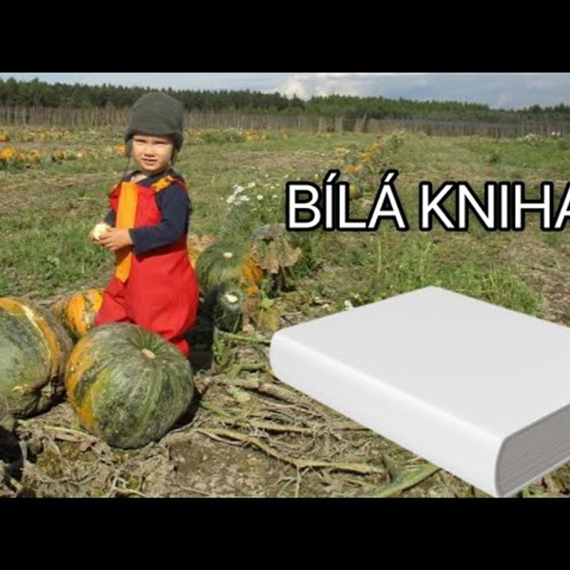 Obrázek epizody Bílá kniha MŠMT vs. komunita 12 kmenů