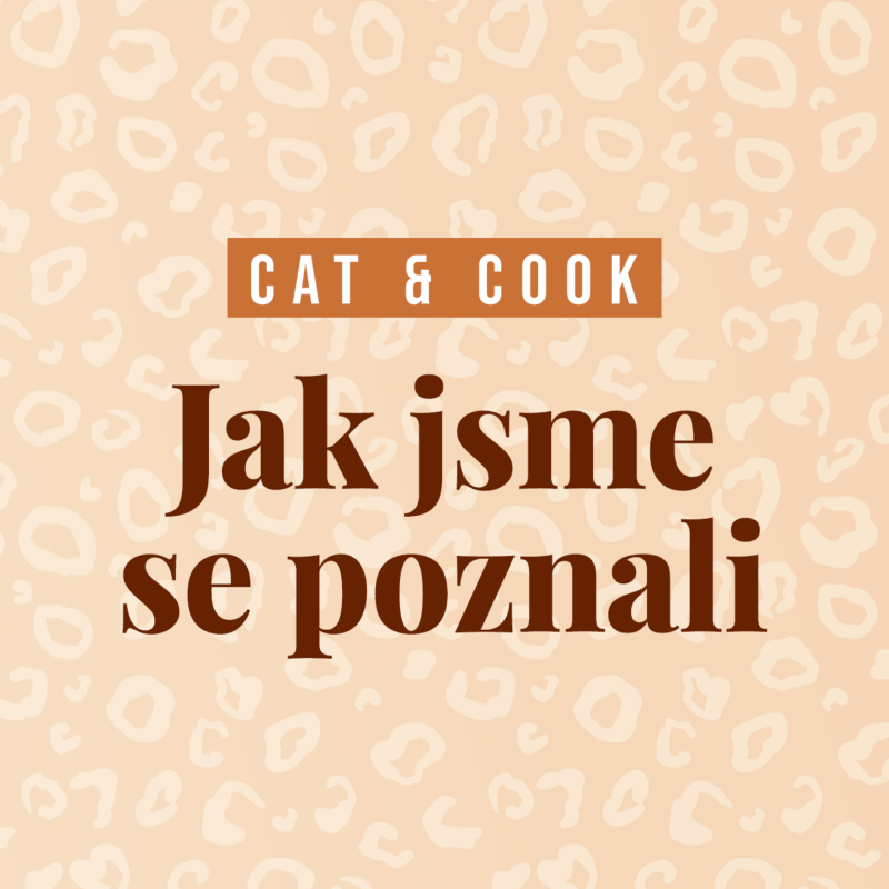 Obrázek epizody Jak jsme se poznali s manželem