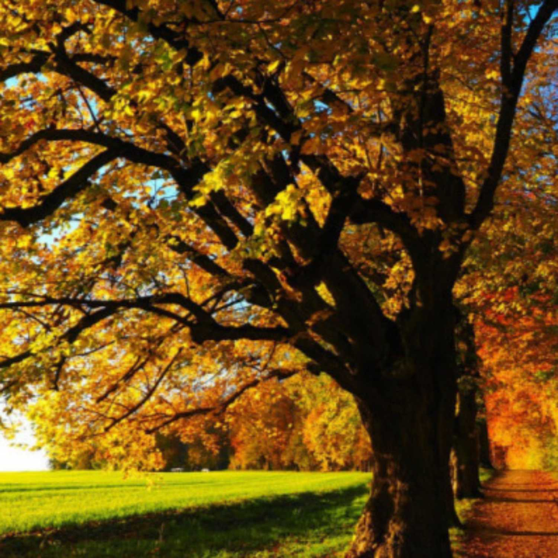 Obrázek epizody PENcast září 2023