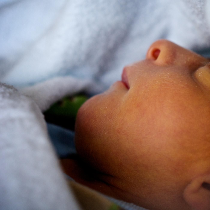 Obrázek epizody Gray's Donation