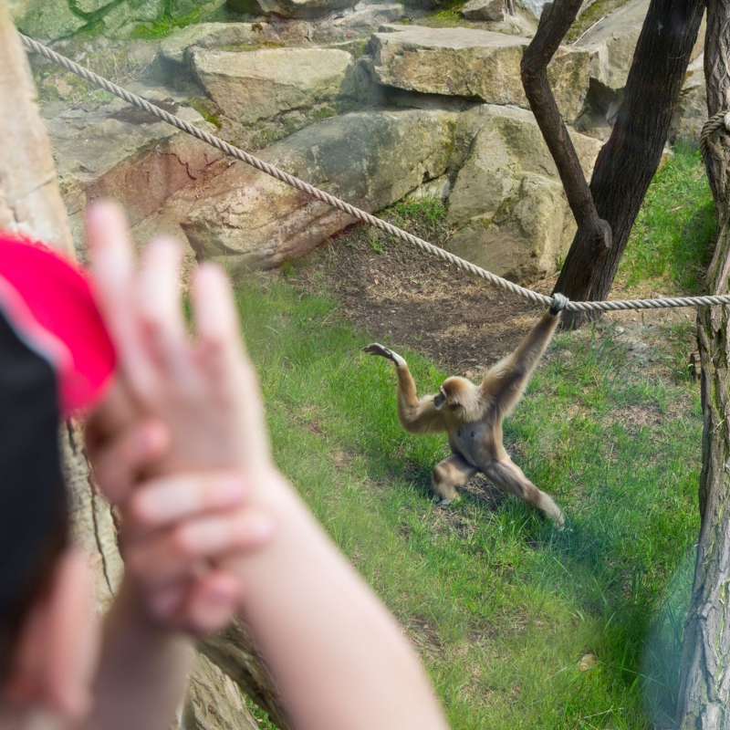 Obrázek epizody Už máme vztahy s AI. James Bridle ukazuje, že je nejvyšší čas navázat je i s inteligentními tvory