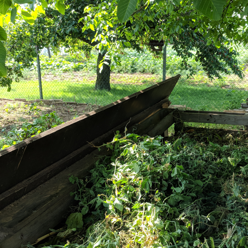 Obrázek epizody Jarný podvečer v Šuriankach