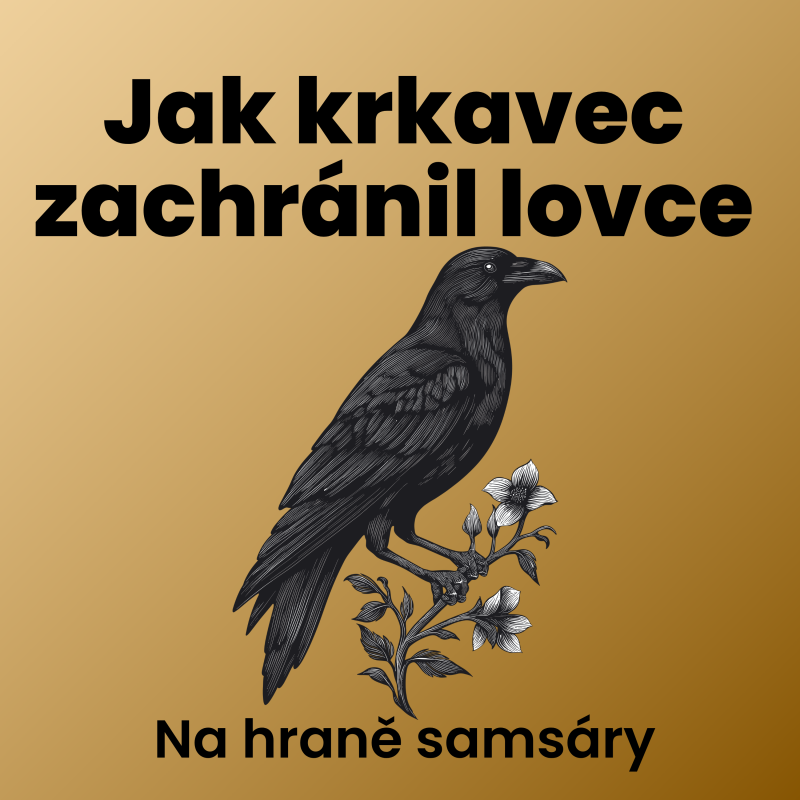 Obrázek epizody 8. Jak krkavec zachránil lovce