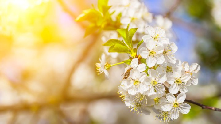 Obrázek epizody HOROSKOPY: Panny, vaším zvykem je spíš řídit se rozumem než city. Všechno zanalyzujete, pak vyhodnotíte