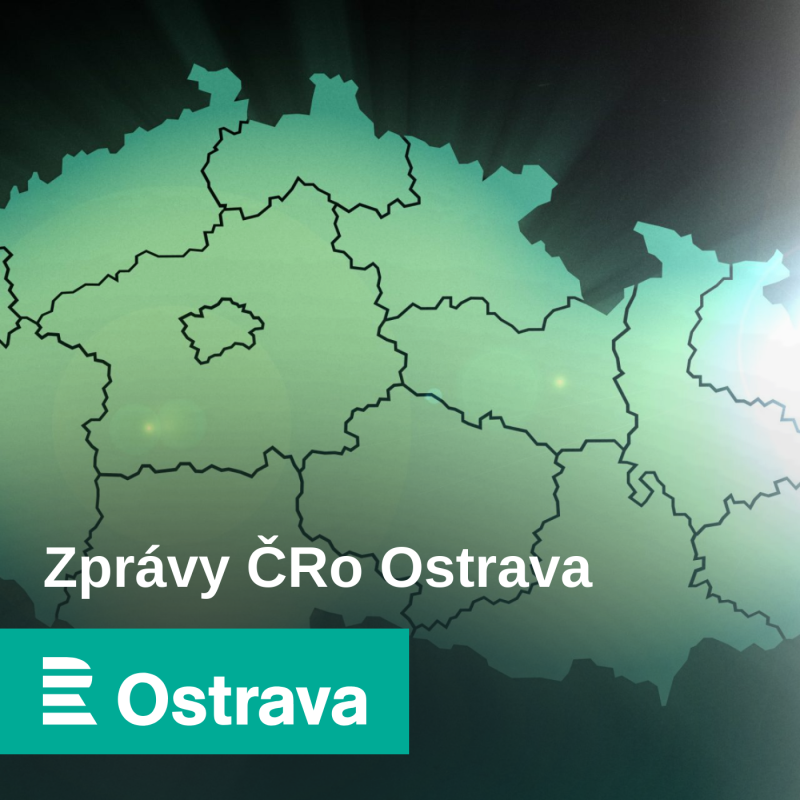 Obrázek epizody V Moravskoslezském kraji je chřipková epidemie, nemocnost v týdnu znovu vzrostla