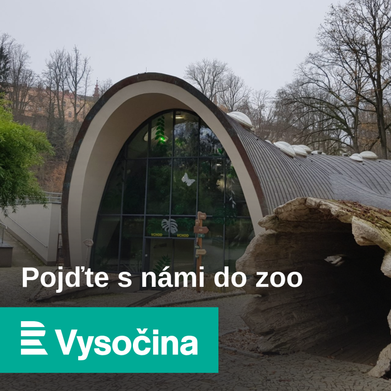 Obrázek epizody Zoo Jihlava má nového jedovatého obyvatele: korovce mexického