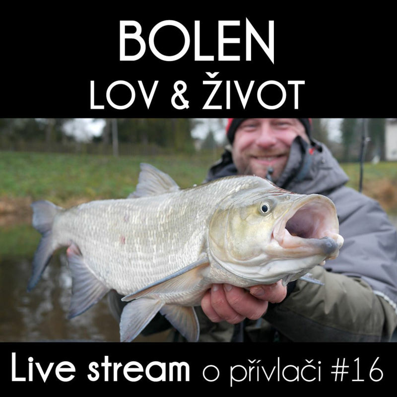 Obrázek epizody Přívlač Live #16 Jak ulovit bolena a jeho život