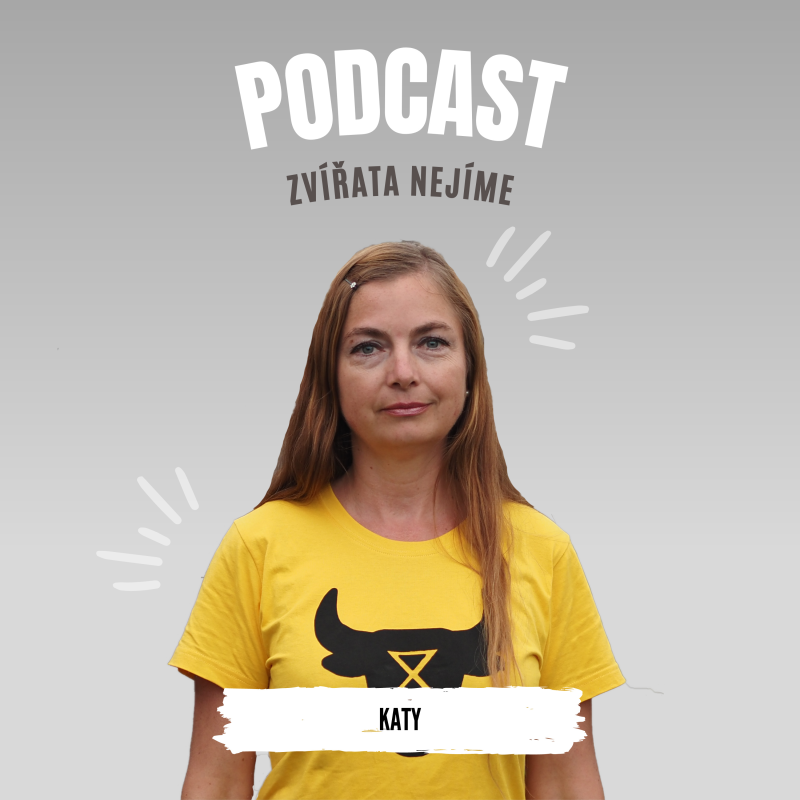 Obrázek epizody Katy: Co jsou to vigily (pietní akty před jatkami), v jakém stavu jsou zvířata v transportech smrti a jak na událost reagují zaměstnanci jatek.